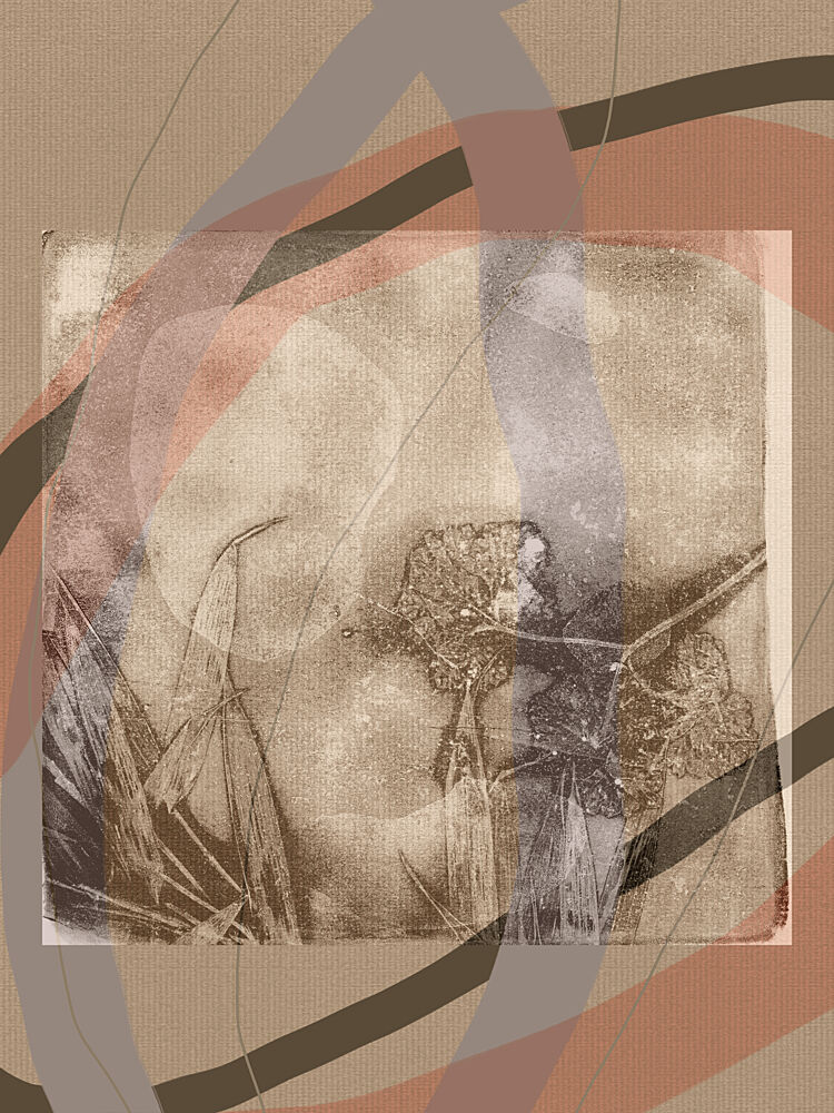 Sepia Dandelion Dream art print by Dina Dankers for $57.95 CAD