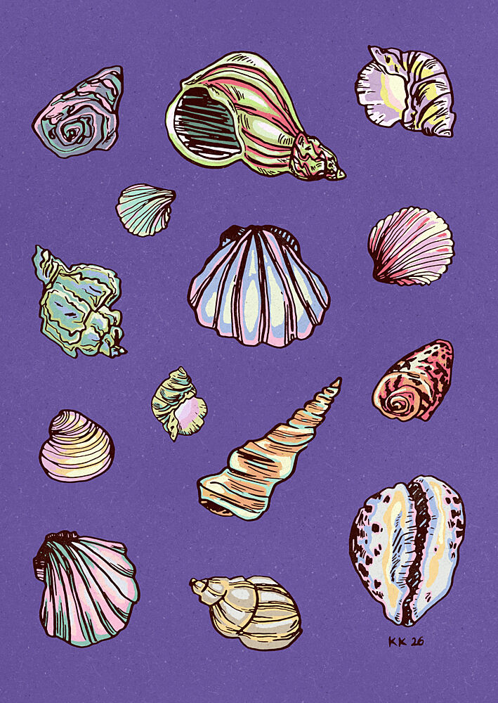 Colorful Seashell Collection art print by Katariina Kosunen for $57.95 CAD
