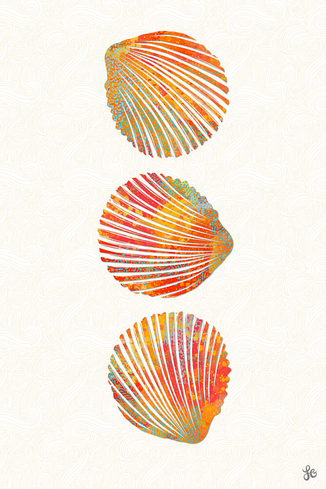 Vibrant Seashells art print by Laura H Gibson for $57.95 CAD