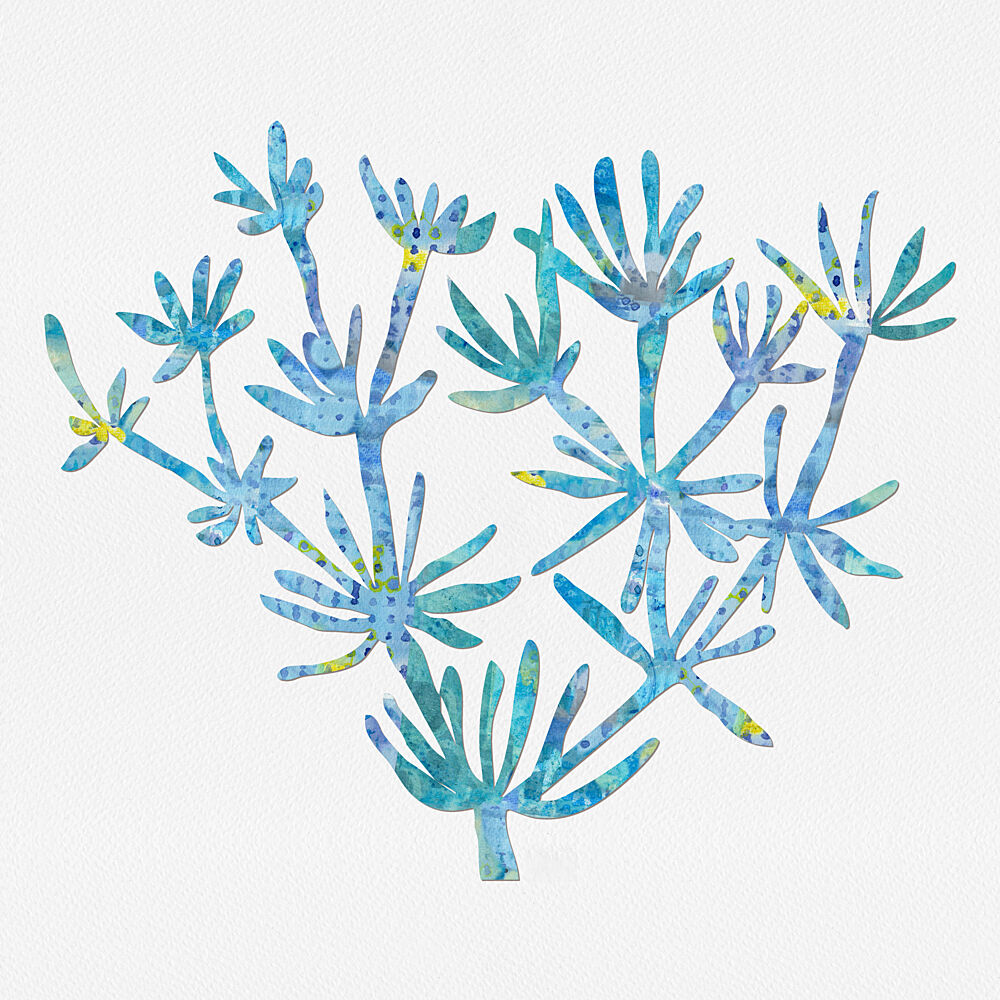 Vibrant Ocean Botanicals art print by Laura H Gibson for $57.95 CAD