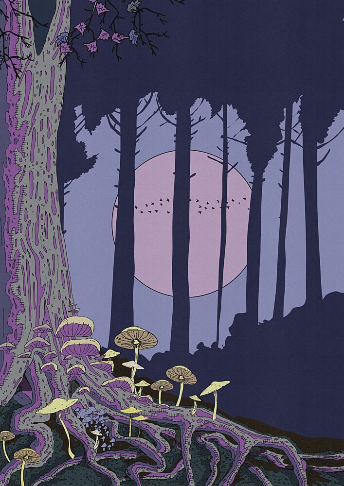 Enchanted Forest Moon art print by Nicholas for $57.95 CAD