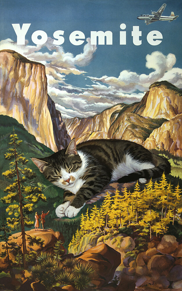Yosemite Catnap art print by Marja van den Hurk for $57.95 CAD