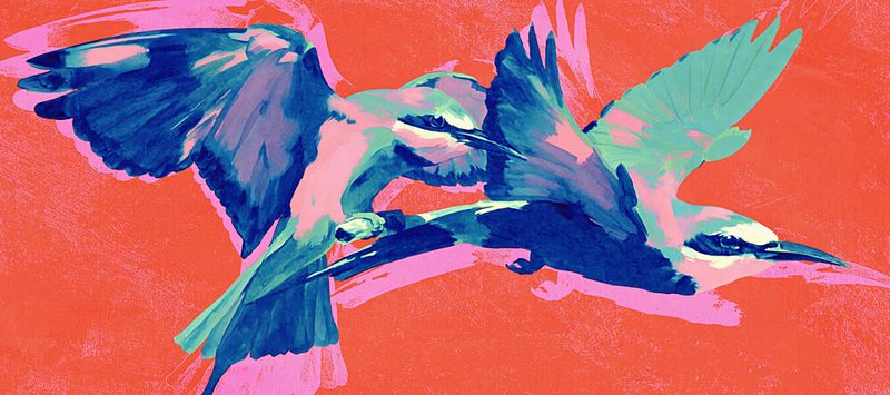 Vibrant Birds in Flight art print by Treechild for $57.95 CAD