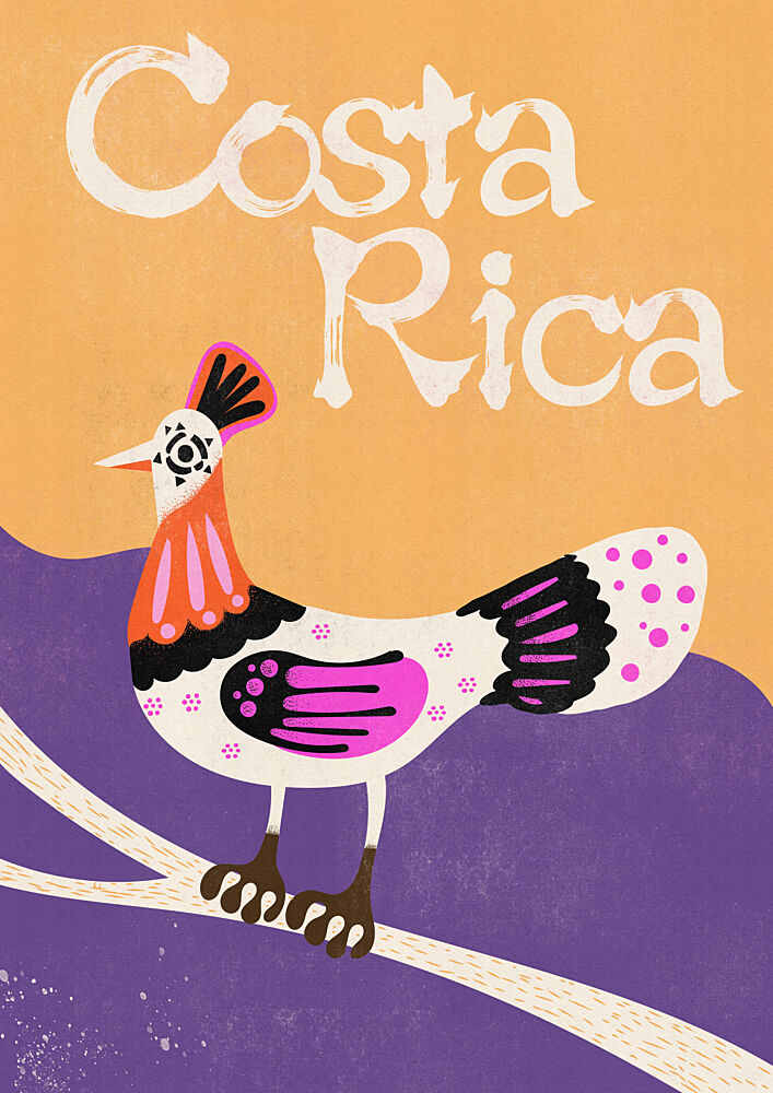 Costa Rica Folk Bird art print by Nicholas for $57.95 CAD
