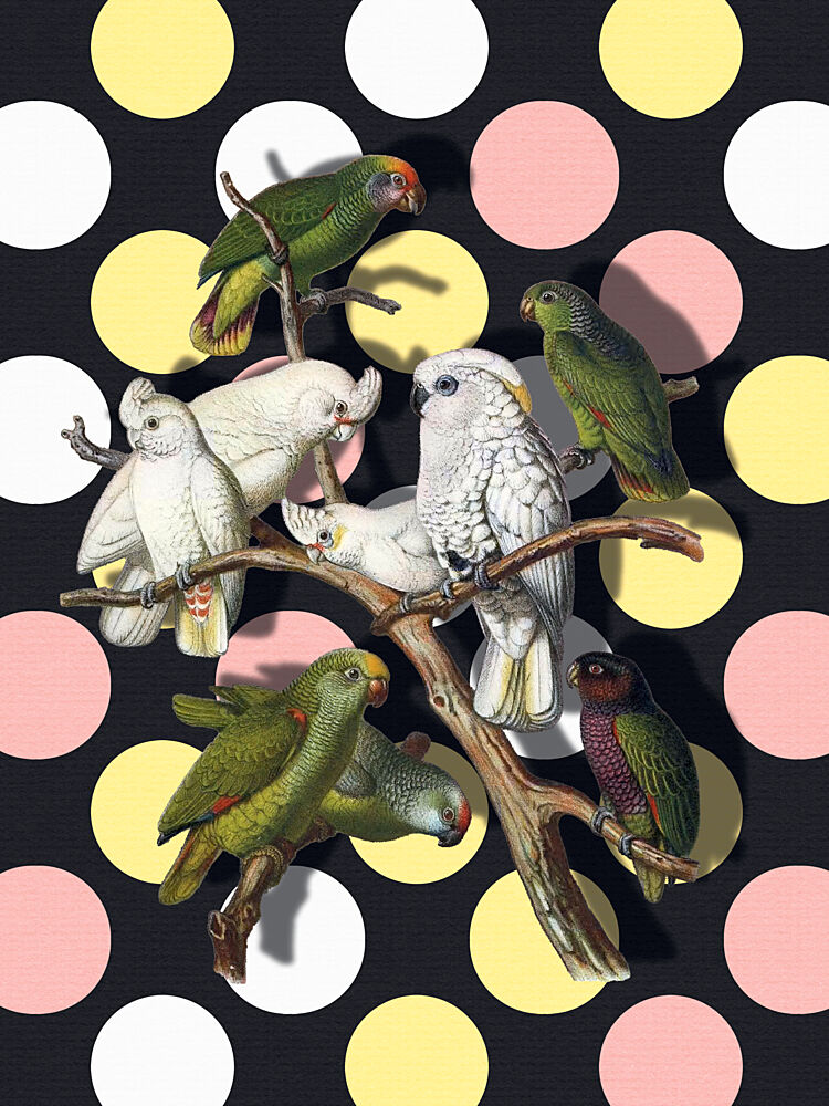 Polka Dot Parrots art print by Marja van den Hurk for $57.95 CAD