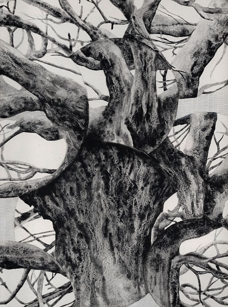 Old Gnarled Tree Trunk art print by Alex Walsh for $57.95 CAD