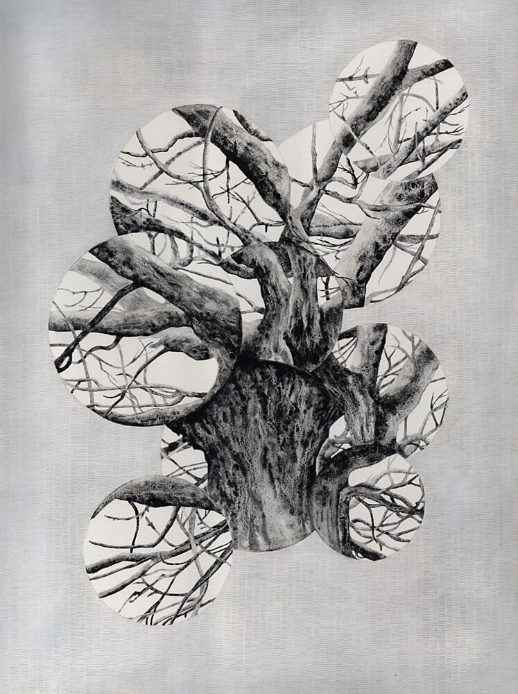 Overlapping Tree Circles art print by Alex Walsh for $57.95 CAD