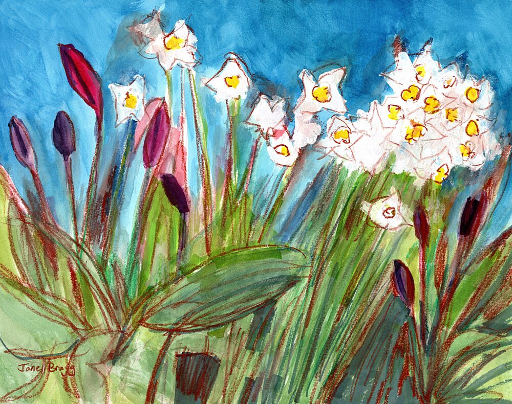 Vibrant Spring Daffodils art print by Janel Bragg for $57.95 CAD