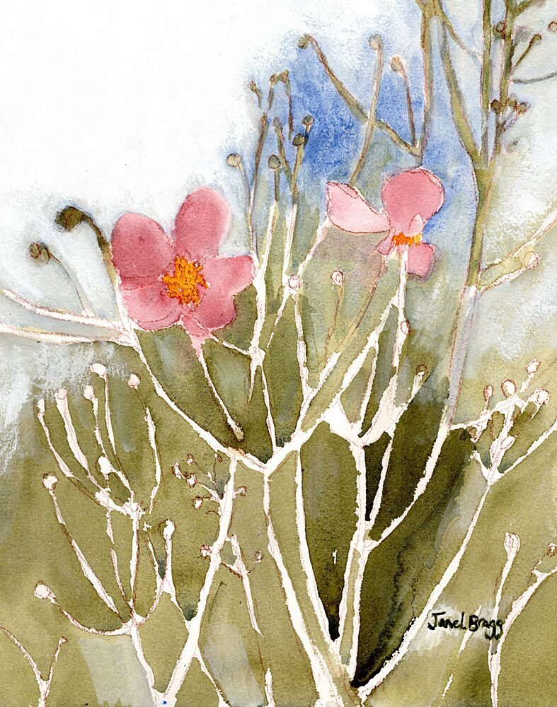 Soft Pink Blooms art print by Janel Bragg for $57.95 CAD