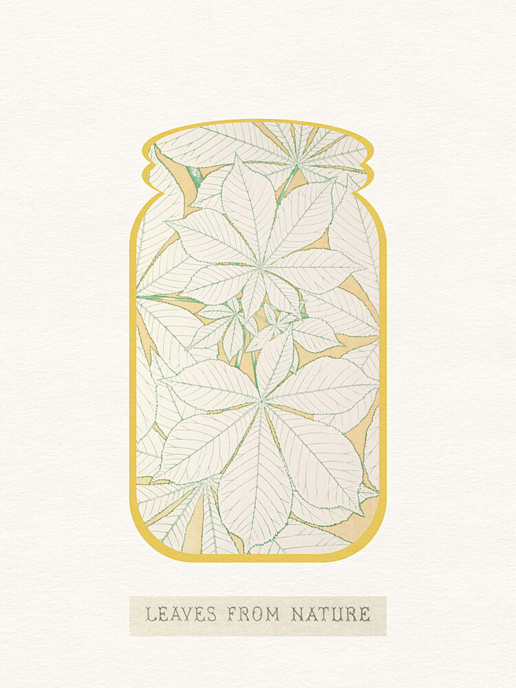 Leaves in a Jar art print by Wild Violets for $57.95 CAD