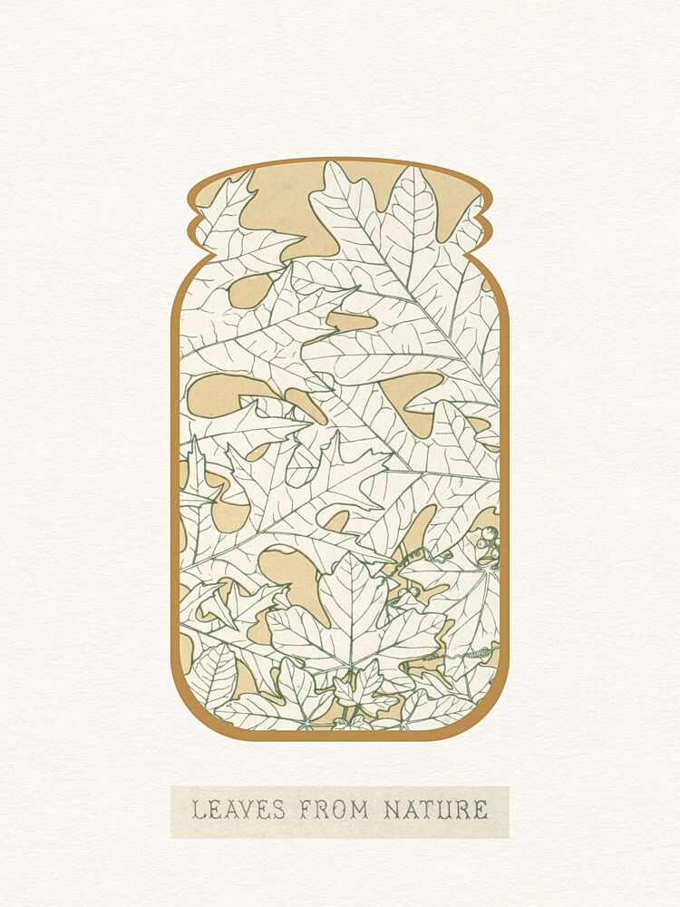 Oak Leaves in Jar art print by Wild Violets for $57.95 CAD