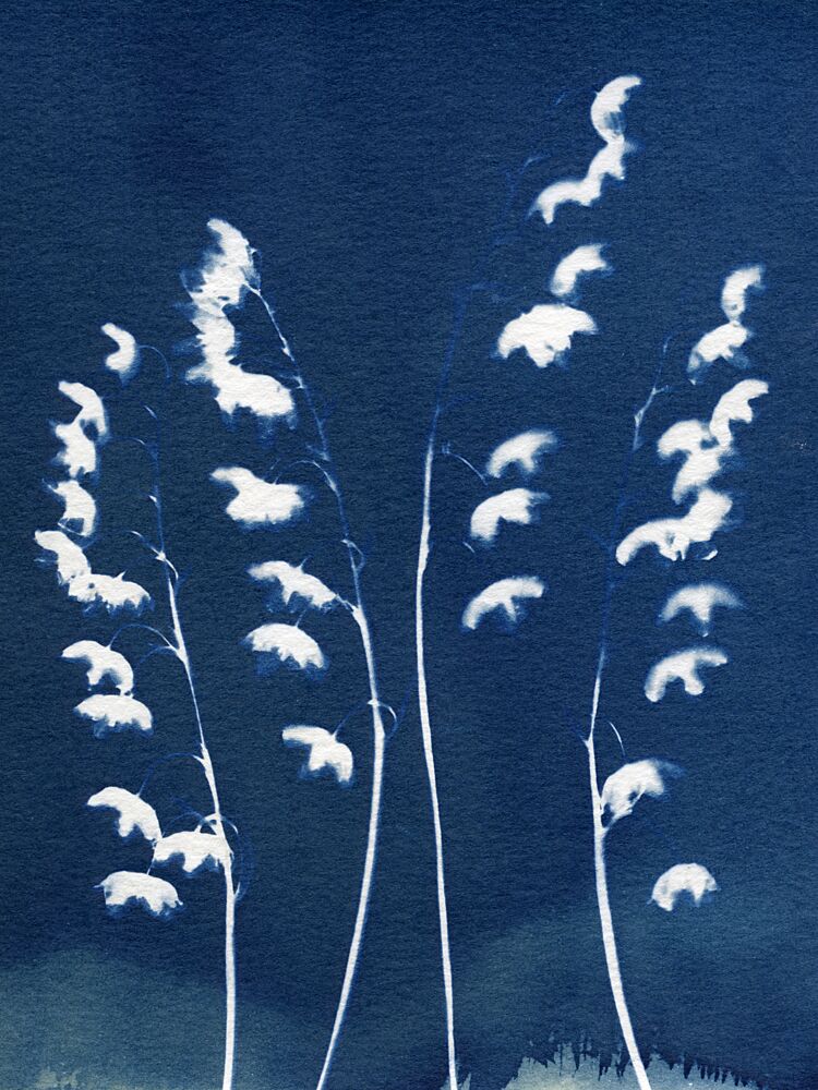 Delicate Blue Botanicals art print by Chickweeds Studio for $57.95 CAD