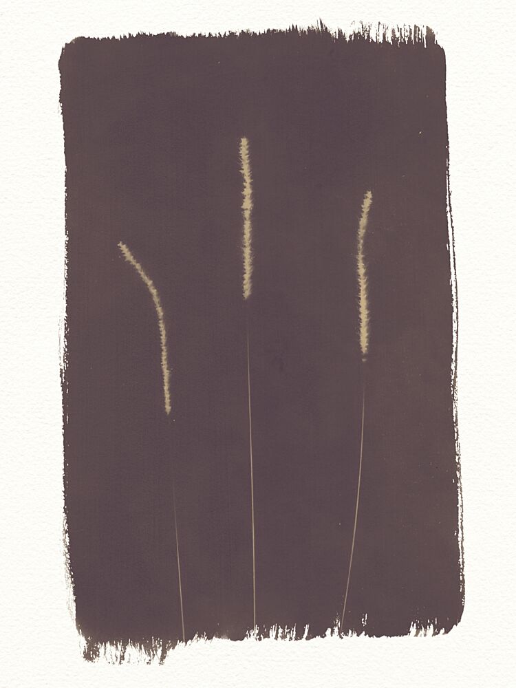 Dark Botanical Study art print by Chickweeds Studio for $57.95 CAD