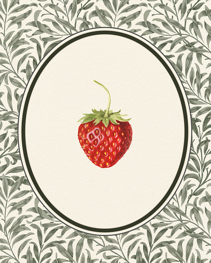 Vintage Strawberry Botanical art print by Wild Violets for $57.95 CAD