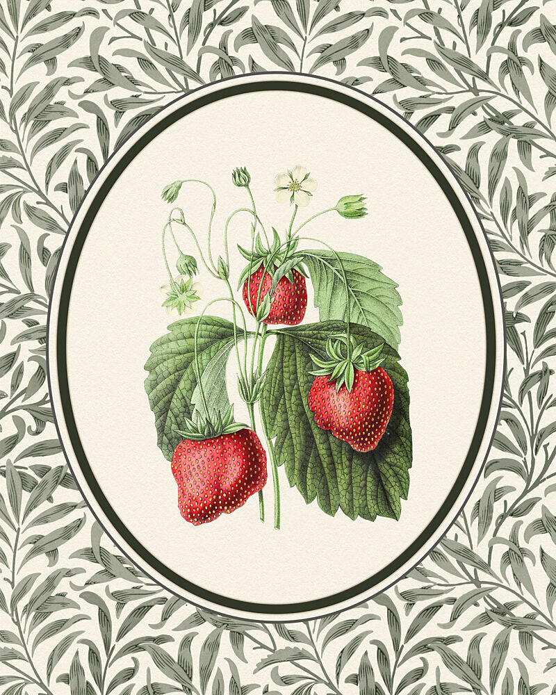 Vintage Strawberry Botanical art print by Wild Violets for $57.95 CAD