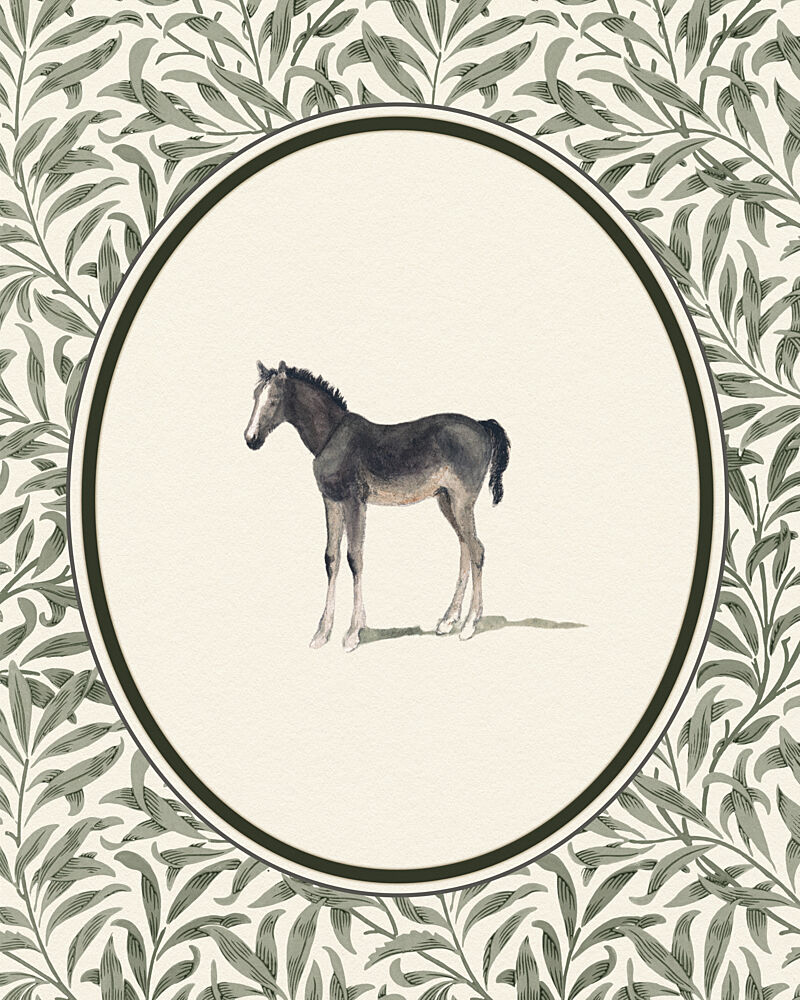 Gentle Foal Vignette art print by Wild Violets for $57.95 CAD