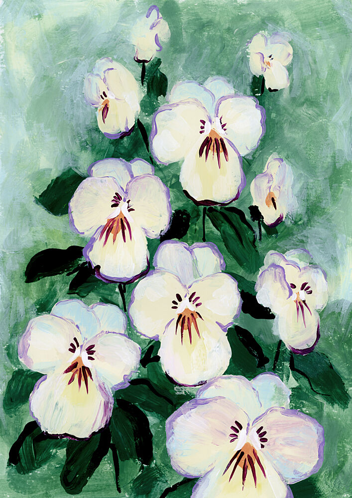 Fresh White Pansies art print by Rosana Laiz Blursbyai for $57.95 CAD
