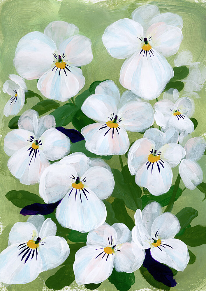 Blooming White Pansies art print by Rosana Laiz Blursbyai for $57.95 CAD
