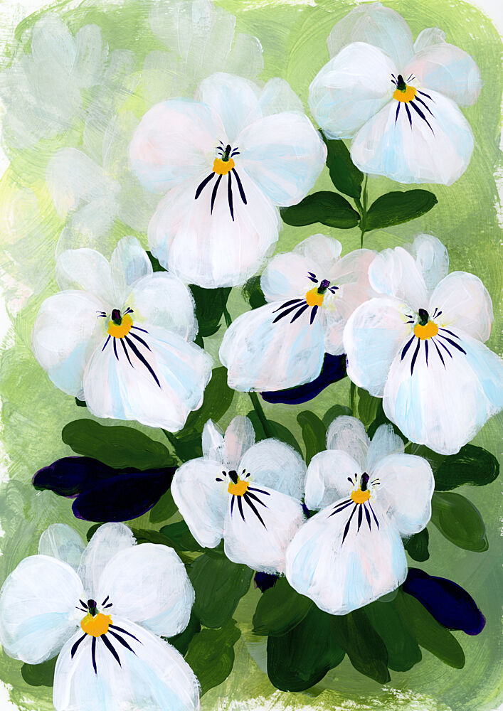 Delicate White Pansies art print by Rosana Laiz Blursbyai for $57.95 CAD