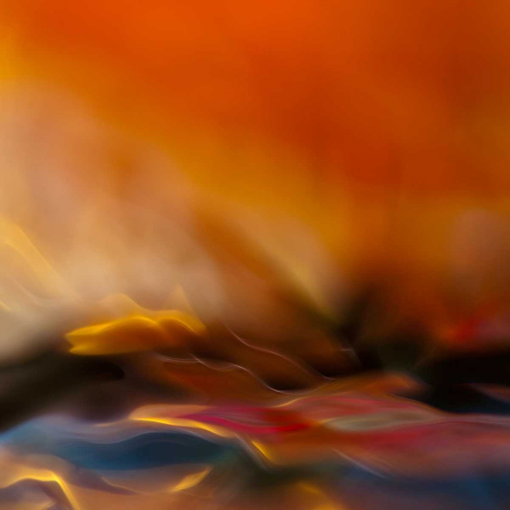nan art print by Willy Marthinussen for $57.95 CAD