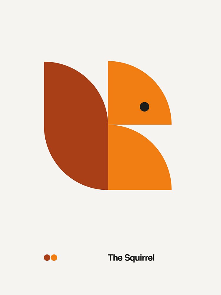 Geometric Squirrel art print by David Vineis for $57.95 CAD