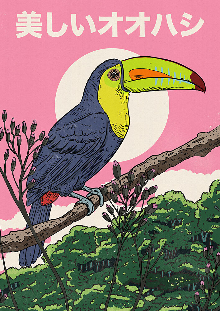 Vibrant Tropical Toucan art print by Nicholas for $57.95 CAD