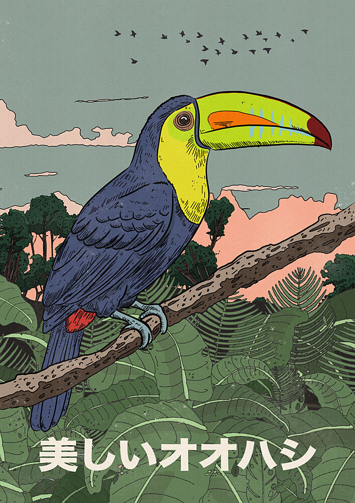 Vibrant Tropical Toucan art print by Nicholas for $57.95 CAD