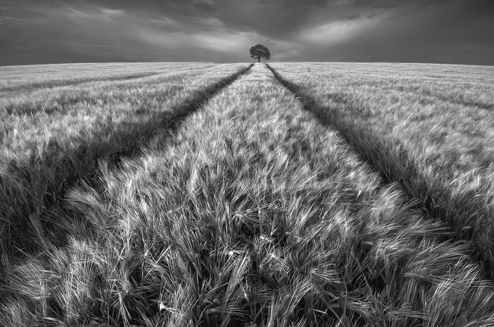 Alone art print by Piotr Krol for $57.95 CAD