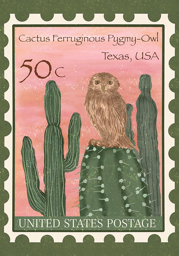 Cactus Pygmy Owl art print by Aliya Putrus for $57.95 CAD