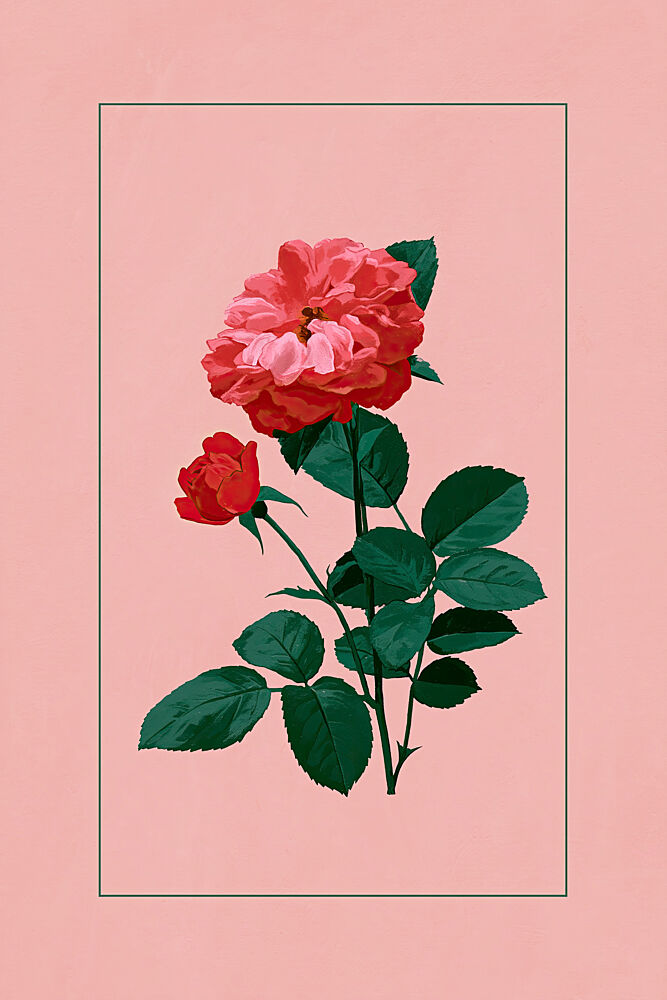Classic Rose Bloom art print by Treechild for $57.95 CAD