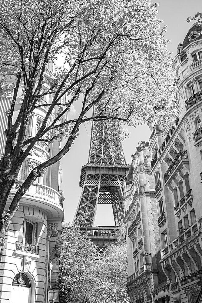 Parisian Street Eiffel Tower art print by Lea Lefebvre for $57.95 CAD