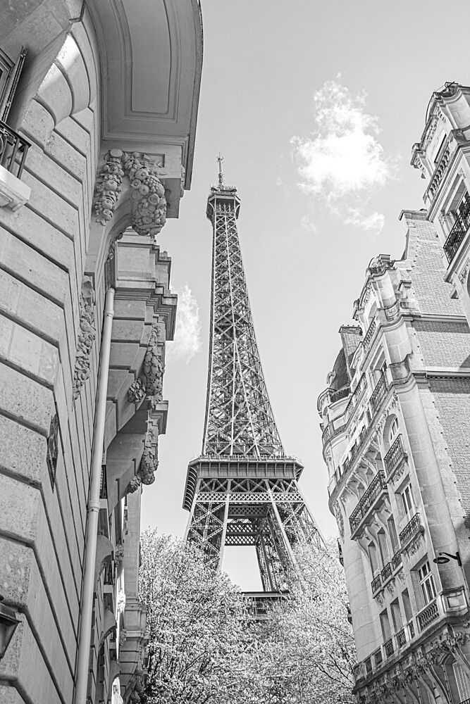 Eiffel Tower Paris View art print by Lea Lefebvre for $57.95 CAD