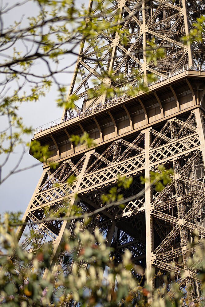 Eiffel Tower Through Spring Leaves art print by Lea Lefebvre for $57.95 CAD