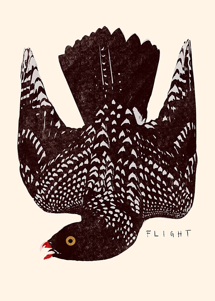 Speckled Bird Flight art print by Josephin Hermsdorf for $57.95 CAD
