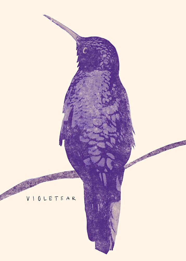 Elegant Violet Hummingbird art print by Josephin Hermsdorf for $57.95 CAD