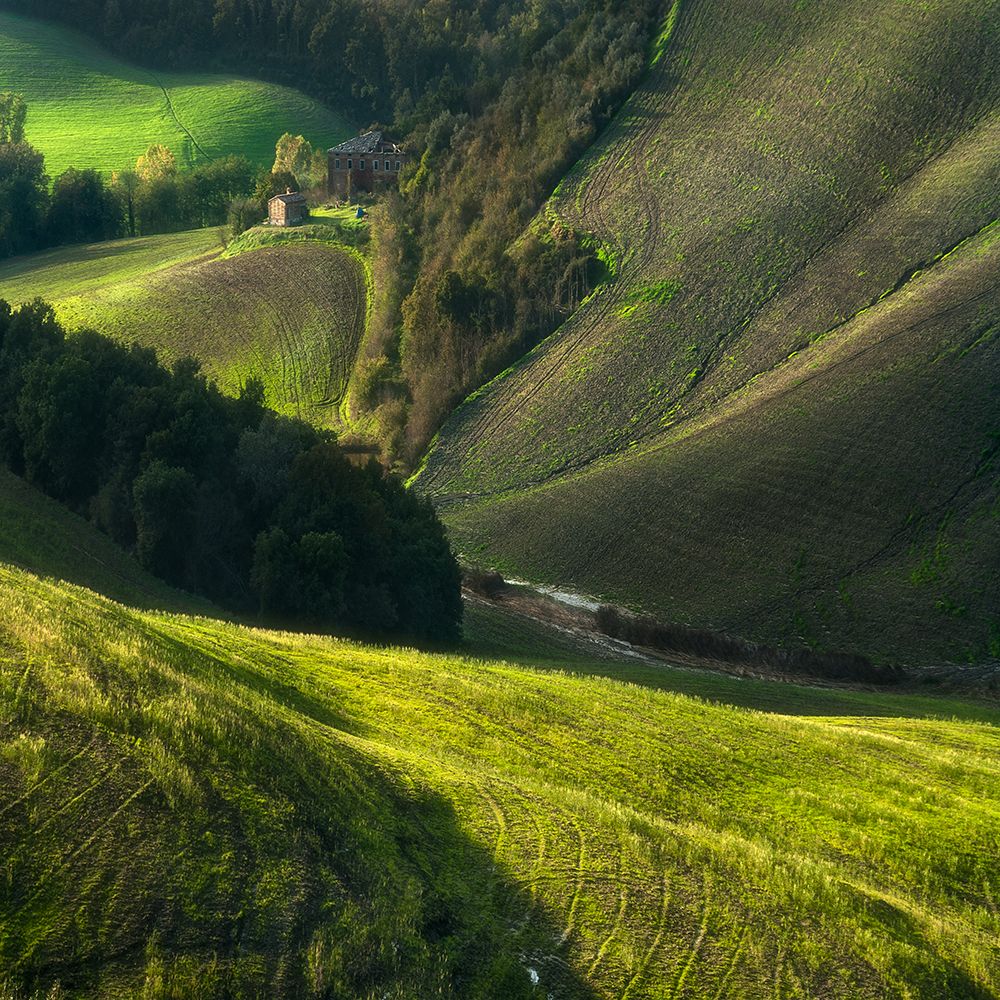 Crete Senses/Tuscany art print by Jarek Pawlak for $57.95 CAD