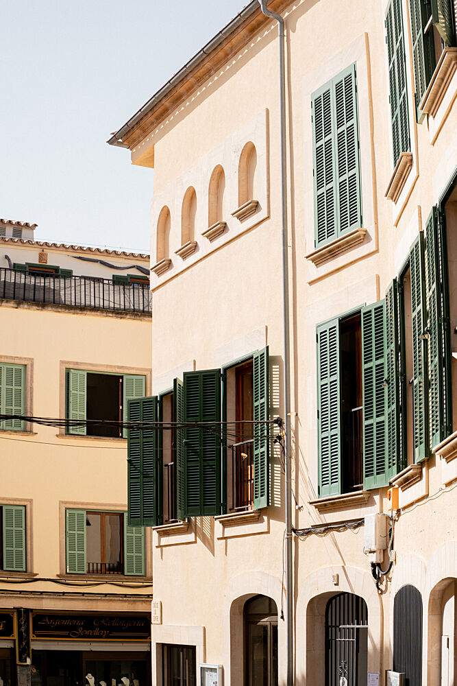 Sunlit Green Shutters art print by Henrike Schenk for $57.95 CAD