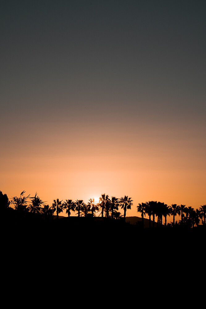 Tropical Sunset Palms art print by Henrike Schenk for $57.95 CAD