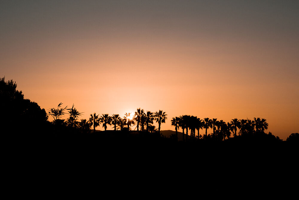 Tropical Sunset Palms art print by Henrike Schenk for $57.95 CAD