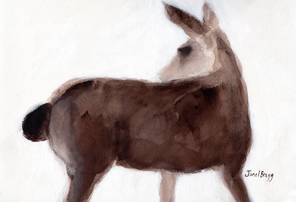 Gentle Watercolor Deer art print by Janel Bragg for $57.95 CAD