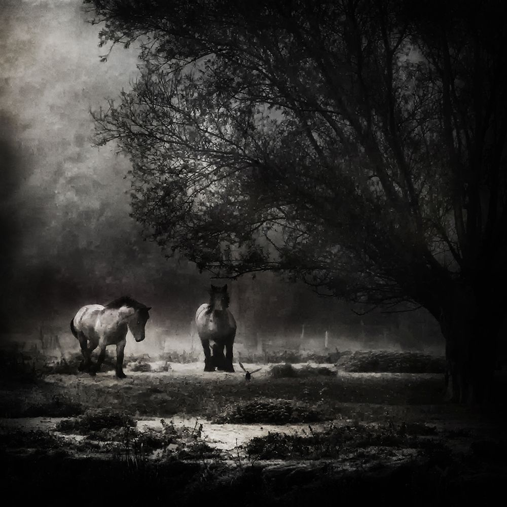 Under The Willow Tree art print by Piet Flour for $57.95 CAD