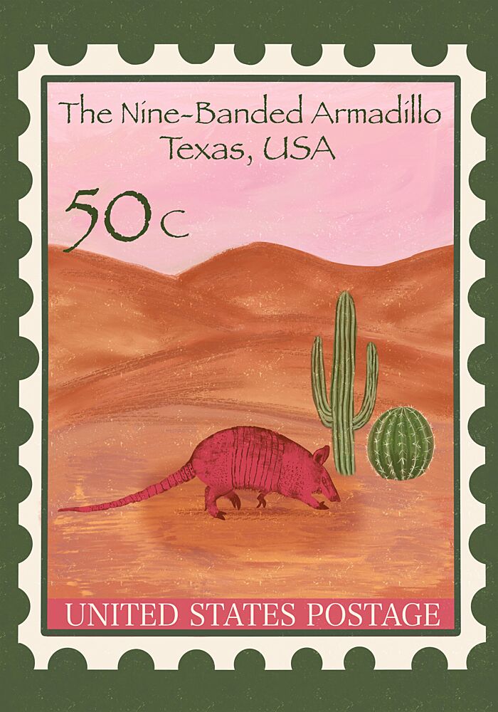 Texas Desert Armadillo art print by Aliya Putrus for $57.95 CAD