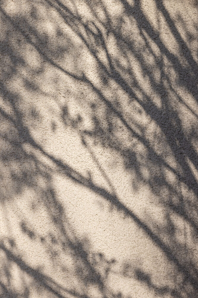 Abstract Tree Shadows art print by Mareike Bohmer for $57.95 CAD