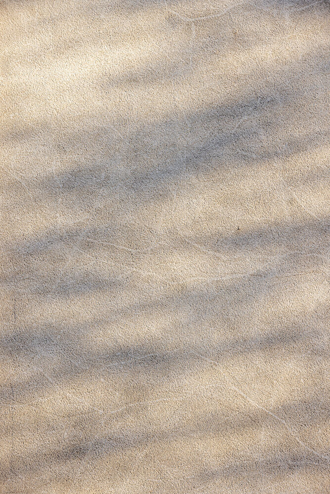 Sunlight Shadow Play art print by Mareike Bohmer for $57.95 CAD