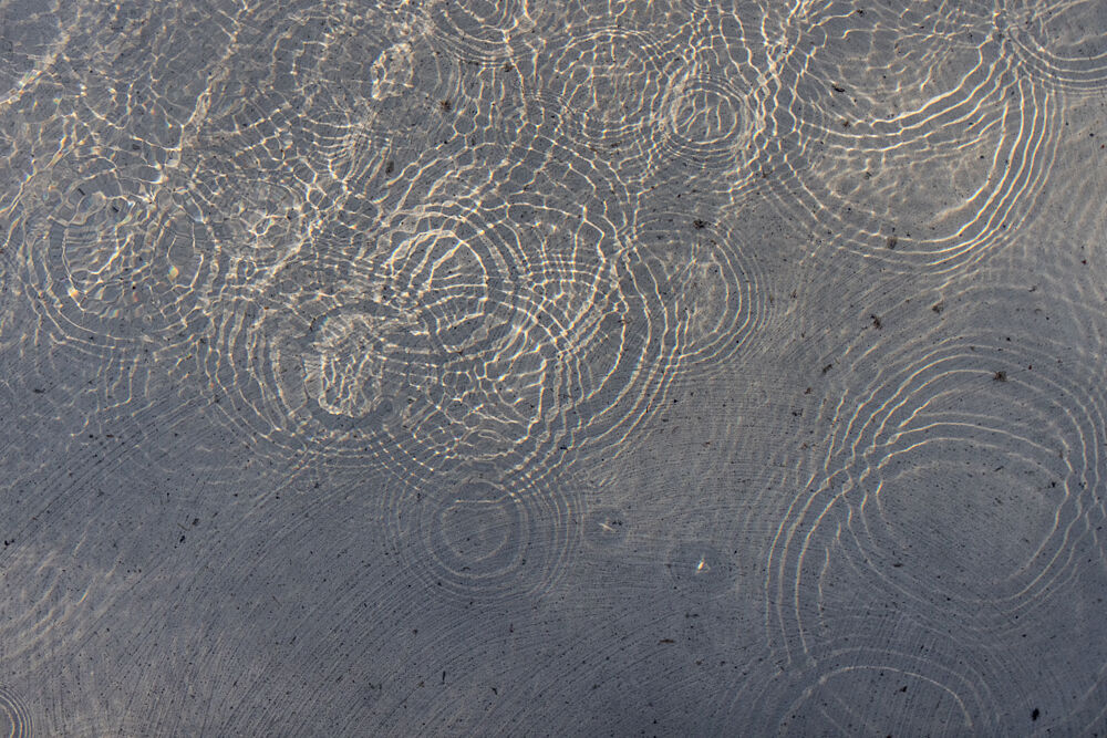 Sunlit Water Patterns art print by Mareike Bohmer for $57.95 CAD