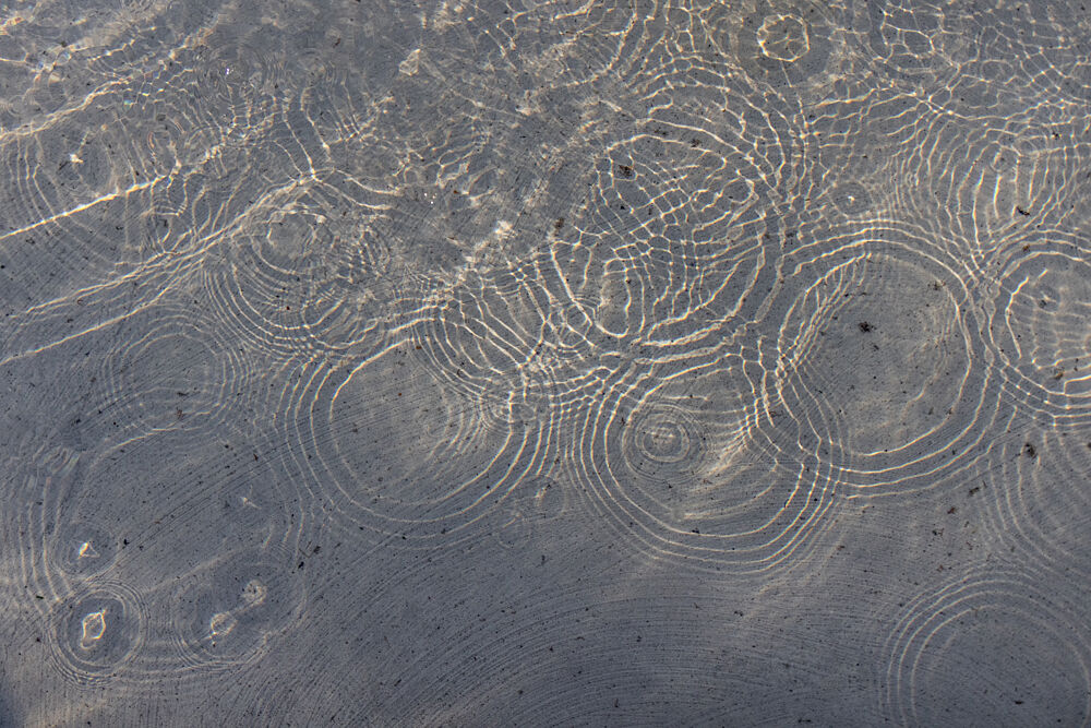 Sunlit Water Ripples art print by Mareike Bohmer for $57.95 CAD