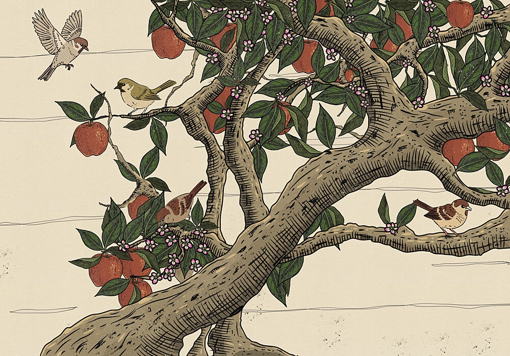 Birds in Apple Tree art print by Nicholas for $57.95 CAD