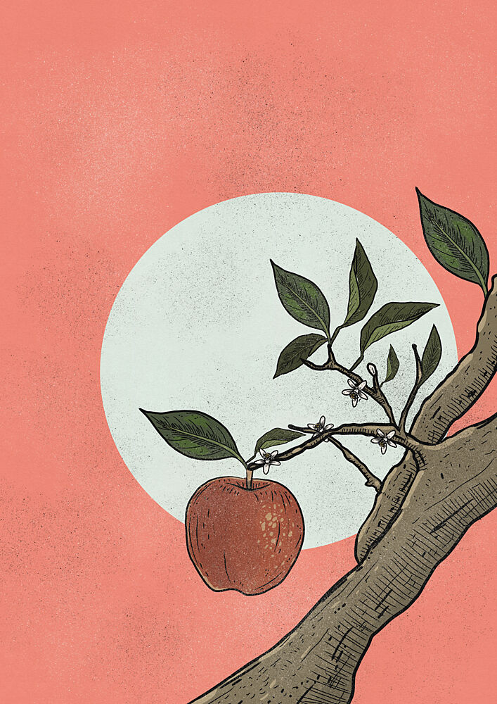 Apple Tree Sun art print by Nicholas for $57.95 CAD