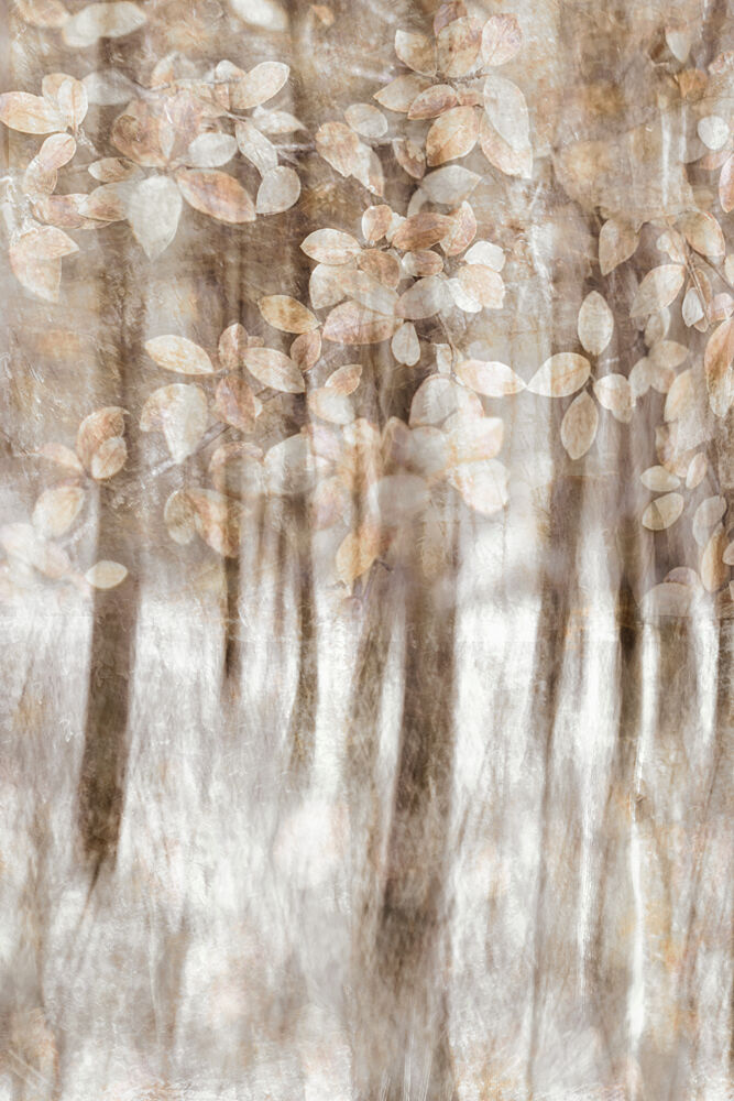 Dreamy Woodland Leaves art print by Christina Sillen for $57.95 CAD