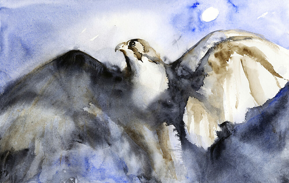 Majestic Falcon Flight art print by RodMacIver for $57.95 CAD